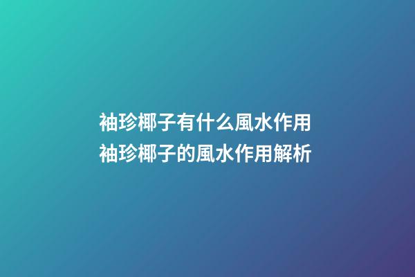 袖珍椰子有什么風水作用 袖珍椰子的風水作用解析
